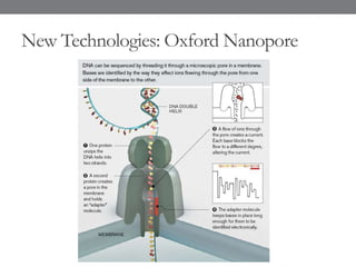 New Technologies: Oxford Nanopore
 