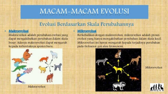 Presentation1 Presentation1