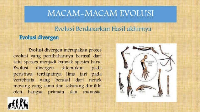 Presentation1 Presentation1