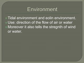 Tidal environment and eolin environment.
Use: direction of the flow of air or water
Moreover it also tells the stregnth of wind
or water.
 