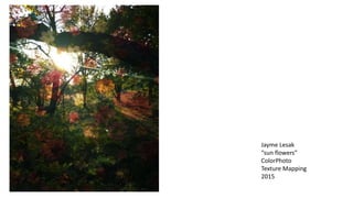 Jayme Lesak
“sun flowers”
ColorPhoto
Texture Mapping
2015