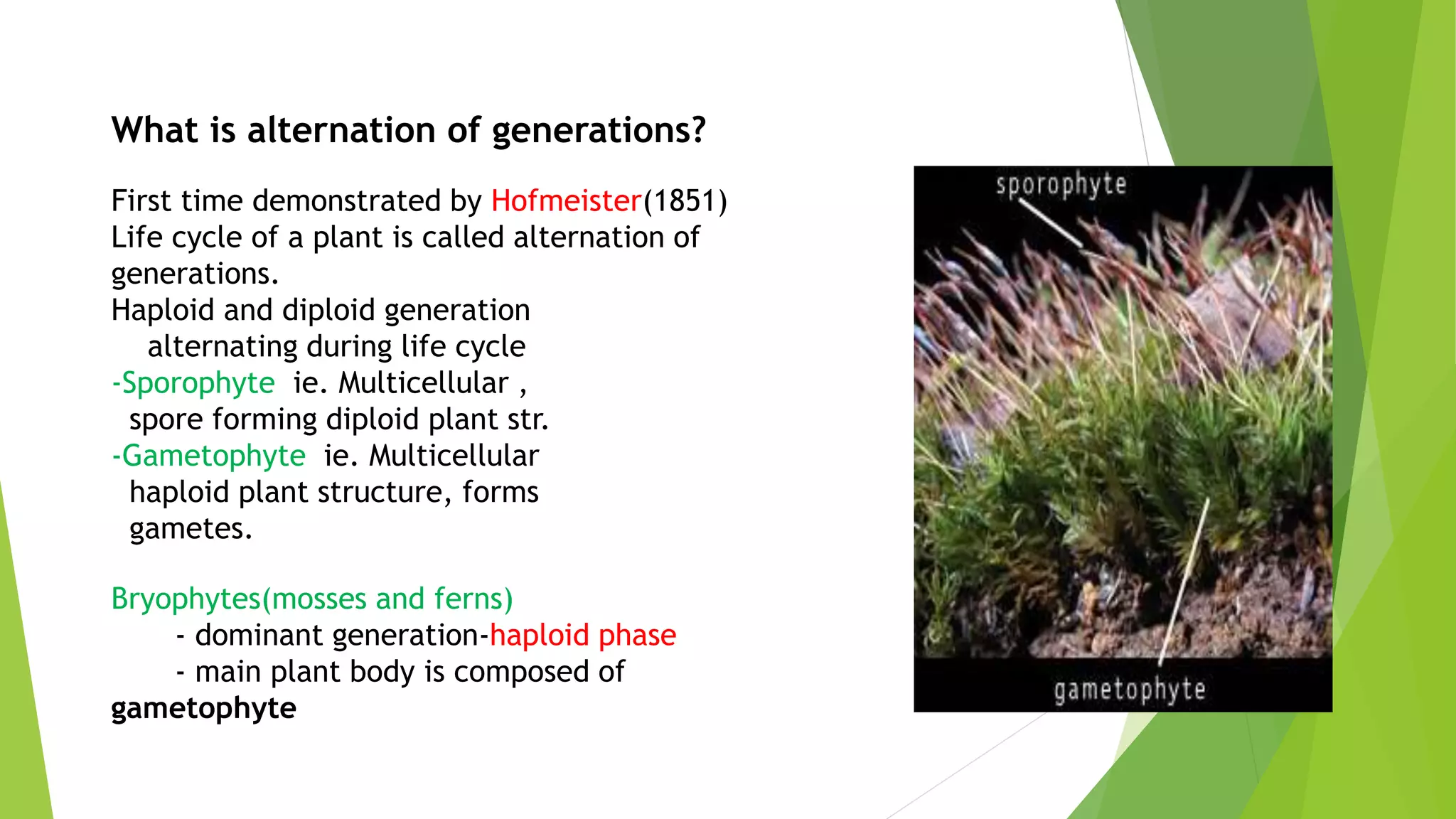 First time demonstrated by Hofmeister(1851)
Life cycle of a plant is called alternation of
generations.
Haploid and diploid generation
alternating during life cycle
-Sporophyte ie. Multicellular ,
spore forming diploid plant str.
-Gametophyte ie. Multicellular
haploid plant structure, forms
gametes.
What is alternation of generations?
Bryophytes(mosses and ferns)
- dominant generation-haploid phase
- main plant body is composed of
gametophyte
 