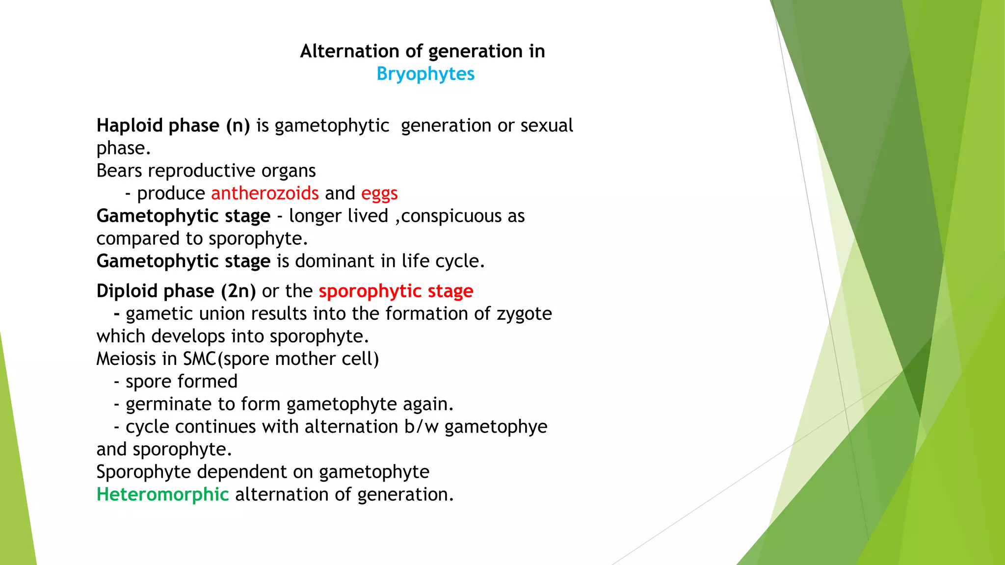 Alternation of generation in
Bryophytes
Haploid phase (n) is gametophytic generation or sexual
phase.
Bears reproductive organs
- produce antherozoids and eggs
Gametophytic stage - longer lived ,conspicuous as
compared to sporophyte.
Gametophytic stage is dominant in life cycle.
Diploid phase (2n) or the sporophytic stage
- gametic union results into the formation of zygote
which develops into sporophyte.
Meiosis in SMC(spore mother cell)
- spore formed
- germinate to form gametophyte again.
- cycle continues with alternation b/w gametophye
and sporophyte.
Sporophyte dependent on gametophyte
Heteromorphic alternation of generation.
 