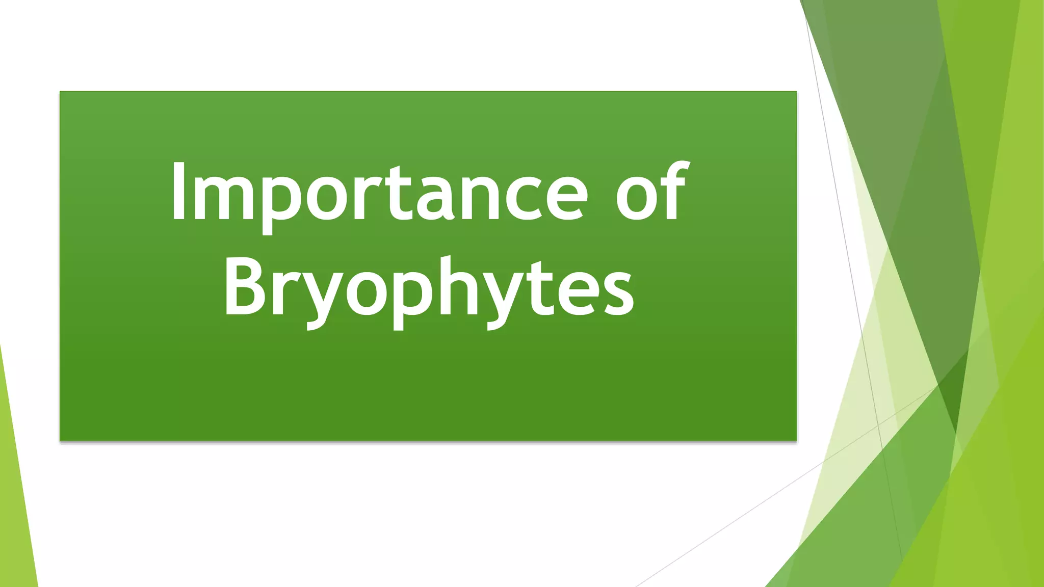 Importance of
Bryophytes
 
