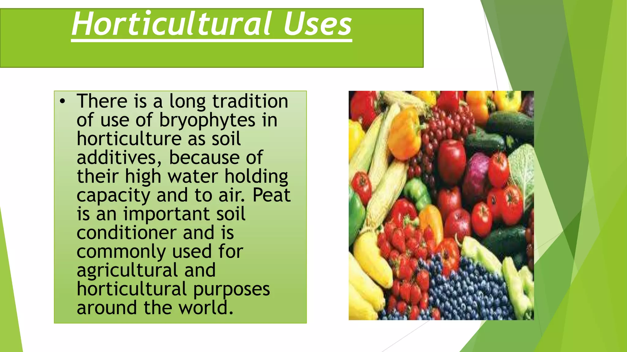 Horticultural Uses
• There is a long tradition
of use of bryophytes in
horticulture as soil
additives, because of
their high water holding
capacity and to air. Peat
is an important soil
conditioner and is
commonly used for
agricultural and
horticultural purposes
around the world.
 