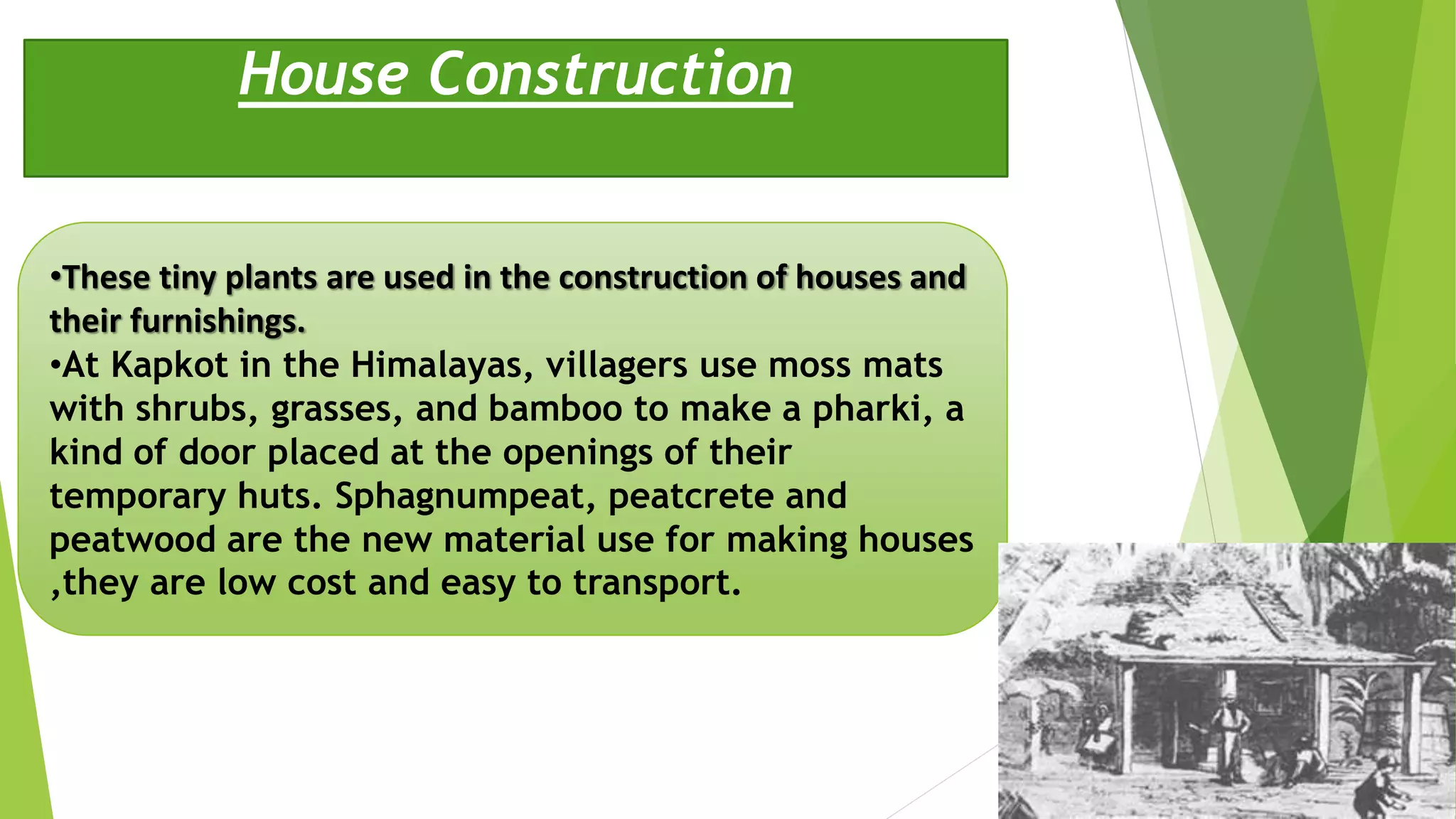 House Construction
•These tiny plants are used in the construction of houses and
their furnishings.
•At Kapkot in the Himalayas, villagers use moss mats
with shrubs, grasses, and bamboo to make a pharki, a
kind of door placed at the openings of their
temporary huts. Sphagnumpeat, peatcrete and
peatwood are the new material use for making houses
,they are low cost and easy to transport.
 