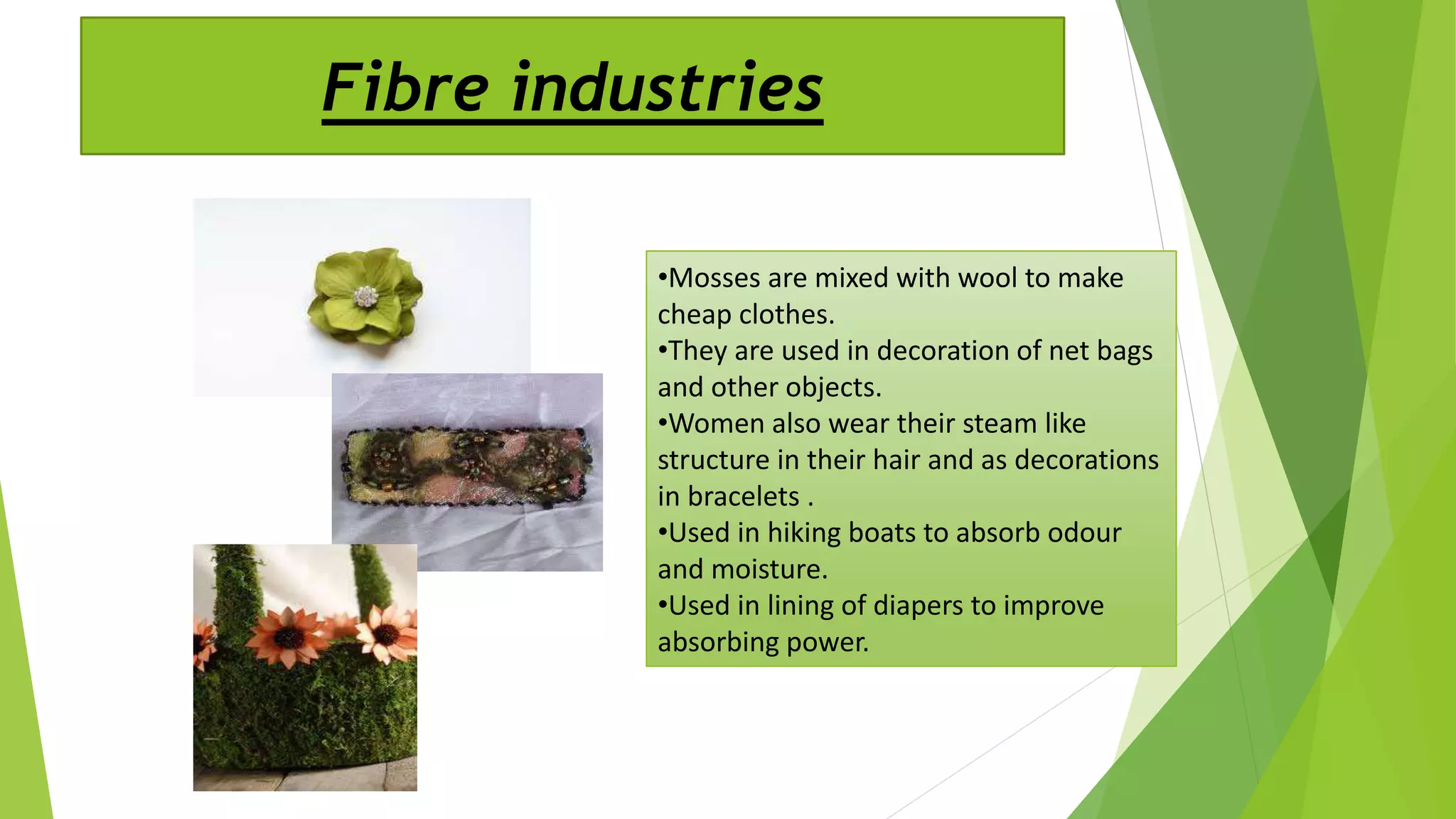 Fibre industries
•Mosses are mixed with wool to make
cheap clothes.
•They are used in decoration of net bags
and other objects.
•Women also wear their steam like
structure in their hair and as decorations
in bracelets .
•Used in hiking boats to absorb odour
and moisture.
•Used in lining of diapers to improve
absorbing power.
 