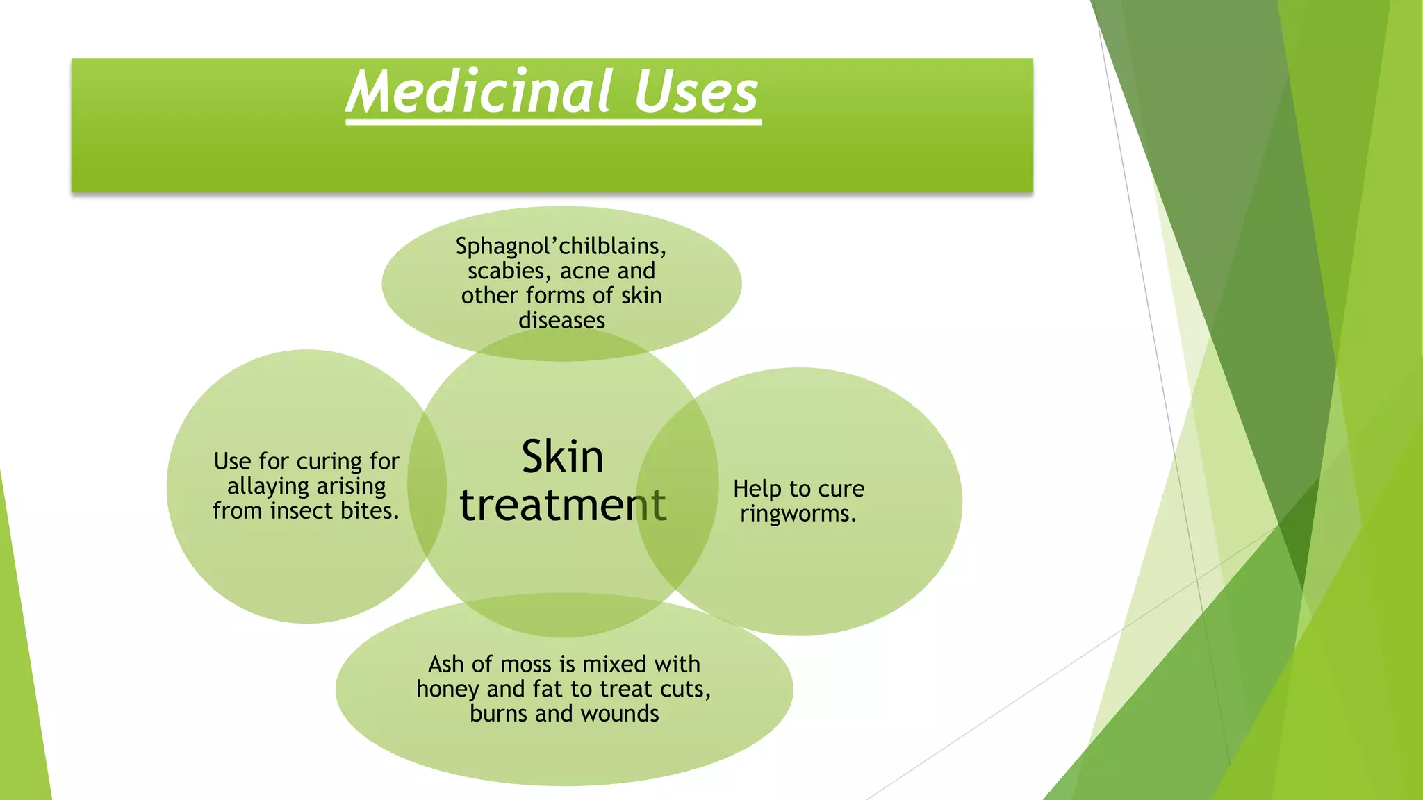 Skin
treatment
Sphagnol’chilblains,
scabies, acne and
other forms of skin
diseases
Help to cure
ringworms.
Ash of moss is mixed with
honey and fat to treat cuts,
burns and wounds
Use for curing for
allaying arising
from insect bites.
Medicinal Uses
 