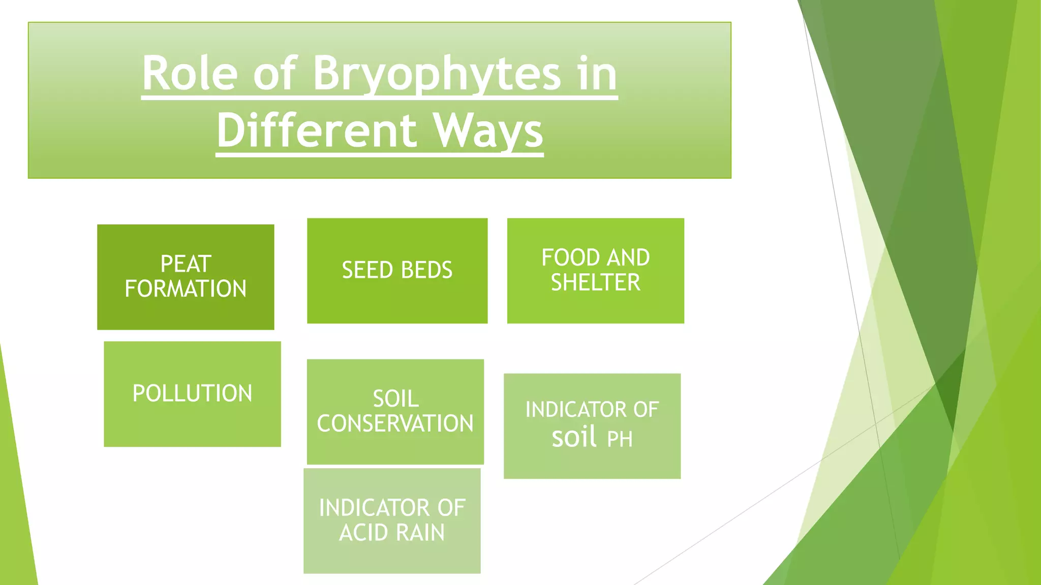 Role of Bryophytes in
Different Ways
PEAT
FORMATION
SEED BEDS
FOOD AND
SHELTER
POLLUTION SOIL
CONSERVATION
INDICATOR OF
soil PH
INDICATOR OF
ACID RAIN
 
