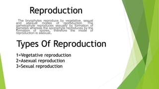 The bryophytes reproduce by vegetative, sexual
and asexual modes of reproduction. The
gametophyte reproduces sexually by formation of
gametes whereas the sporophyte reproduces by the
formation of spores, therefore the mode of
reproduction is asexual.
Reproduction
Types Of Reproduction
1=Vegetative reproduction
2=Asexual reproduction
3=Sexual reproduction
 