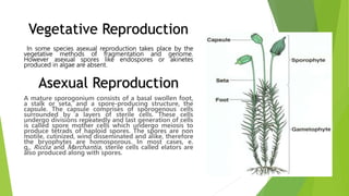 In some species asexual reproduction takes place by the
vegetative methods of fragmentation and genome.
However asexual spores like endospores or akinetes
produced in algae are absent.
A mature sporogonium consists of a basal swollen foot,
a stalk or seta, and a spore-producing structure, the
capsule. The capsule comprises of sporogenous cells
surrounded by a layers of sterile cells. These cells
undergo divisions repeatedly and last generation of cells
is called spore mother cells which undergo meiosis to
produce tetrads of haploid spores. The spores are non
motile, cutinized, wind disseminated and alike, therefore
the bryophytes are homosporous. In most cases, e.
g., Riccia and Marchantia, sterile cells called elators are
also produced along with spores.
Asexual Reproduction
Vegetative Reproduction
 