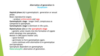 Alternation of generation in
Bryophytes
Haploid phase (n) is gametophytic generation or sexual
phase.
Bears reproductive organs
- produce antherozoids and eggs
Gametophytic stage - longer lived ,conspicuous as
compared to sporophyte.
Gametophytic stage is dominant in life cycle.
Diploid phase (2n) or the sporophytic stage
- gametic union results into the formation of zygote
which develops into sporophyte.
Meiosis in SMC(spore mother cell)
- spore formed
- germinate to form gametophyte again.
- cycle continues with alternation b/w gametophye
and sporophyte.
Sporophyte dependent on gametophyte
Heteromorphic alternation of generation.
 