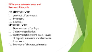 Difference between moss and
liverwort life cycle
GAMETOPHYTE
I. presence of protonema
II. Symmetry
III. Rhizoids
SPOROPHYTE
I. Development of embryo
II. Capsule organization.
III. Photosynthetic system in cell layers
of capsule in mosses and absence in
liver worts.
IV. Presence of air pores,columella
 