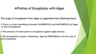 Affinities of Bryophytes with Algae
The origin of bryophytes from algae is supported from following facts:
1=There is a close resemblance between CHLOROPHYLLS and XANTHOPHYLLS of algae
to that of bryophytes.
2=The presence of motile sperms in bryophytes supports algal ancestry.
3=The development of green, filamentous, alga-like PROTONEMA in the life cycle of
some bryophytes.
 