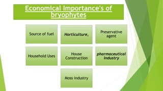 Economical Importance's of
bryophytes
Source of fuel Horticulture,
Preservative
agent
Household Uses
House
Construction
pharmaceutical
industry
Moss industry
 