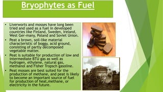 Bryophytes as Fuel
• Liverworts and mosses have long been
tried and used as a fuel in developed
countries like Finland, Sweden, Ireland,
West Ger-many, Poland and Soviet Union.
• Peat a brown, soil-like material
characteristic of boggy, acid ground,
consisting of partly decomposed
vegetable matter.
• Peat is suitable for production of low and
intermediate BTU gas as well as
hydrogen, ethylene, natural gas,
methanol and Fisher Tropsch gasoline.
• Peat mosses are best suited for the
production of methane, and peat is likely
to become an important source of fuel
for production of heat,methane, or
electricity in the future.
 
