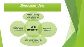 Skin
treatment
Sphagnol’chilblains,
scabies, acne and
other forms of skin
diseases
Help to cure
ringworms.
Ash of moss is mixed with
honey and fat to treat cuts,
burns and wounds
Use for curing for
allaying arising
from insect bites.
Medicinal Uses
 