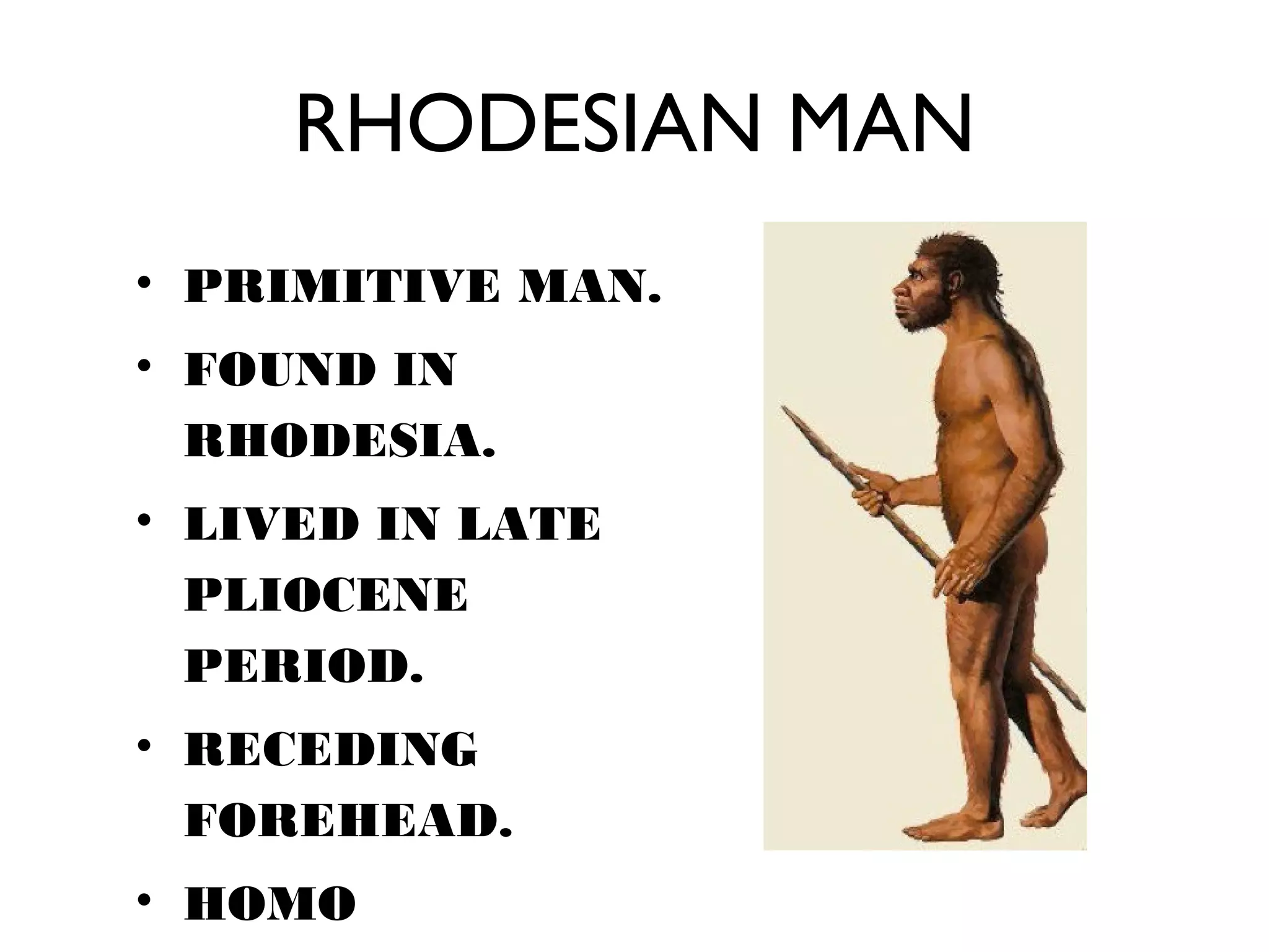 Rhodesian Man Found In Evolution of Man | PPT