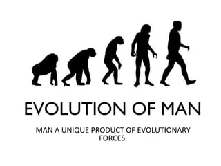 EVOLUTION OF MAN
MAN A UNIQUE PRODUCT OF EVOLUTIONARY
FORCES.
 
