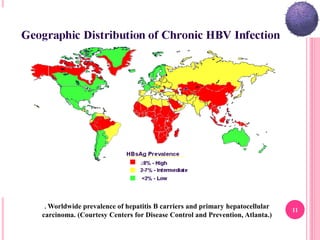 11
. Worldwide prevalence of hepatitis B carriers and primary hepatocellular
carcinoma. (Courtesy Centers for Disease Control and Prevention, Atlanta.)
 