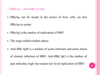 2) HBcAg—anti-HBc system
 HBcAg can be found in the nuclei of liver cells, no free
HBcAg in serum
 HBcAg is the marker of replication of HBV
 The stage called window phase
 Anti-HBc IgM is a marker of acute infection and acute attack
of chronic infection of HBV. Anti-HBc IgG is the marker of
past infection, high titer means low level replication of HBV
40
 