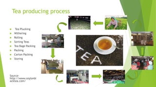 Tea industry in sri lanka | PPTX