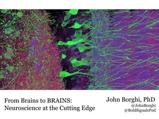 From Brains to BRAINS:
Neuroscience at the Cutting Edge
John Borghi, PhD
@JohnBorghi
@BoldSignalsPod
 