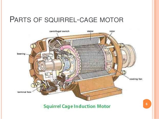 Applications of single phase squirrel cage induction motor