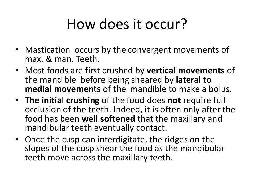 Mastication. Chewing Cycles & Oral Reflexes Oral Physiology