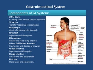 1.Oral Cavity
-Grinding Food, Absorb specific molecule
2.Pharynx
-Transfer food/Drug to esophagus
3.Esophagus
-Carries food/drug into Stomach
4.Stomach
-Digestion and absorption
5.Duodenum
-Breakdown food using enzyme
6.Liver, Gallbladder, Pancreas
-Production and storage of enzyme
7.Small intestine
-Digestion and Absorption
8.Large Intestine
-Breakdown and absorb food
9.Rectum
-Store feces and absorption.
Components of GI System:
Gastrointestinal System
 