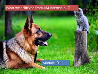 What we achieved from IIM internship ?
Module 01:
 