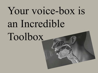 Your voice-box is
an Incredible
Toolbox
 