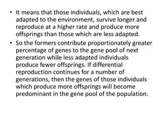 • It means that those individuals, which are best
adapted to the environment, survive longer and
reproduce at a higher rate and produce more
offsprings than those which are less adapted.
• So the formers contribute proportionately greater
percentage of genes to the gene pool of next
generation while less adapted individuals
produce fewer offsprings. If differential
reproduction continues for a number of
generations, then the genes of those individuals
which produce more offsprings will become
predominant in the gene pool of the population.
 