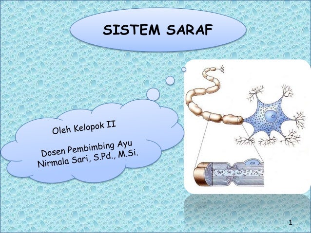Ppt Sistem Saraf Presentation1