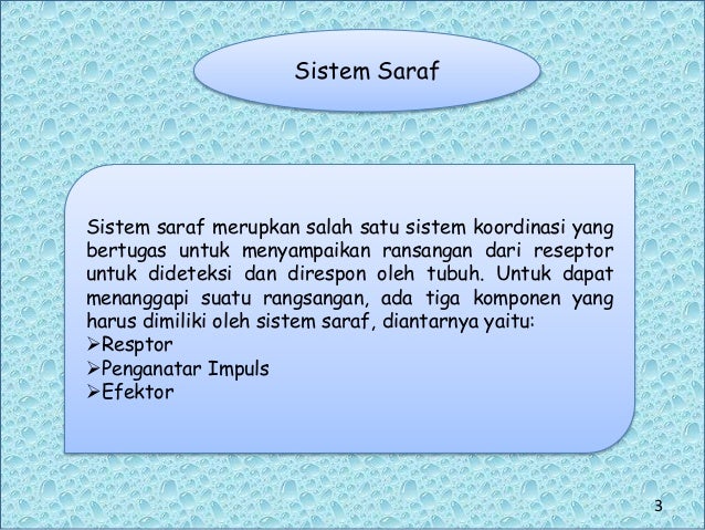 Ppt Sistem Saraf Presentation1