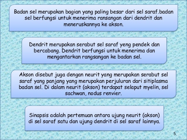 Ppt Sistem Saraf Presentation1
