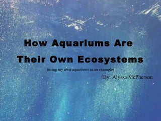 How Aquariums Are
Their Own Ecosystems
(using my own aquariums as an example)
By: Alyssa McPherson
 