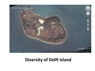 Diversity of Delft Island
 