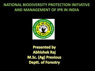 NATIONAL BIODIVERSITY PROTECTION INITIATIVE
AND MANAGEMENT OF IPR IN INDIA
 