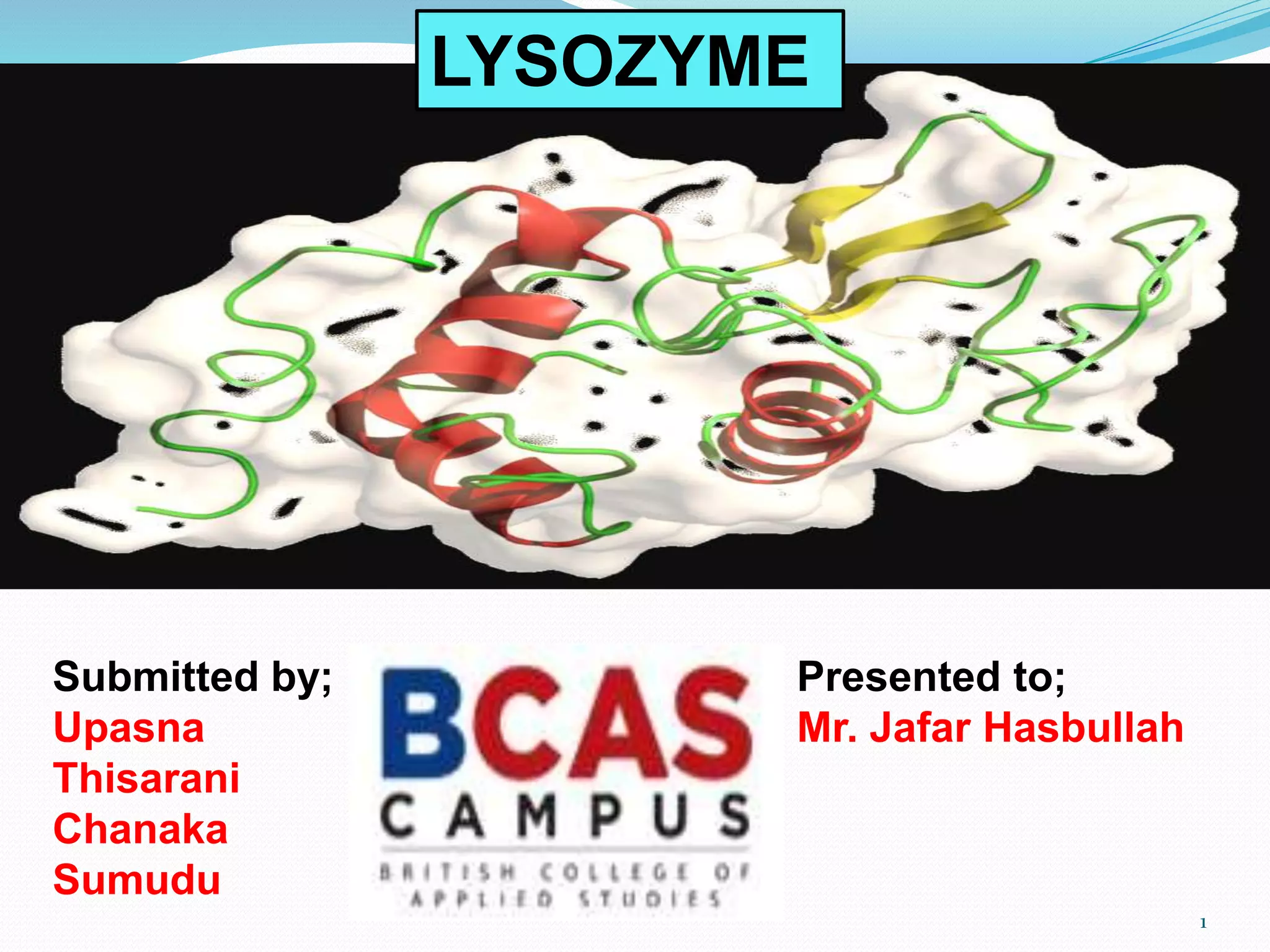 Submitted by;
Upasna
Thisarani
Chanaka
Sumudu
Presented to;
Mr. Jafar Hasbullah
LYSOZYME
1
 
