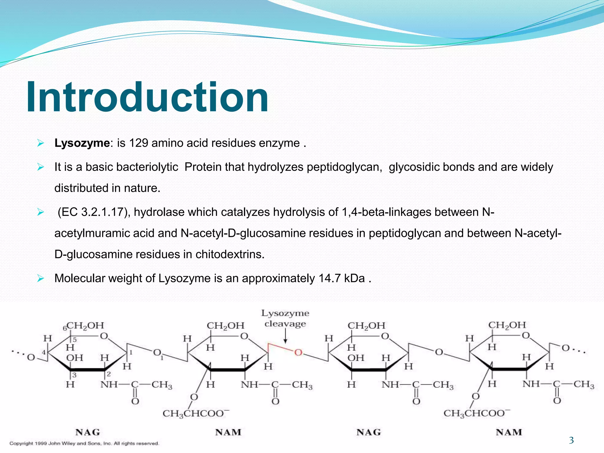 Introduction
 Lysozyme: is 129 amino acid residues enzyme .
 It is a basic bacteriolytic Protein that hydrolyzes peptidoglycan, glycosidic bonds and are widely
distributed in nature.
 (EC 3.2.1.17), hydrolase which catalyzes hydrolysis of 1,4-beta-linkages between N-
acetylmuramic acid and N-acetyl-D-glucosamine residues in peptidoglycan and between N-acetyl-
D-glucosamine residues in chitodextrins.
 Molecular weight of Lysozyme is an approximately 14.7 kDa .
3
 