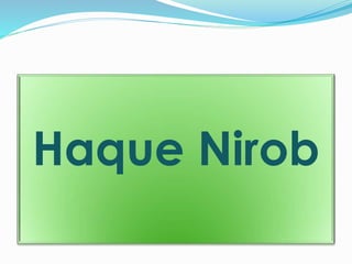 Haque Nirob
