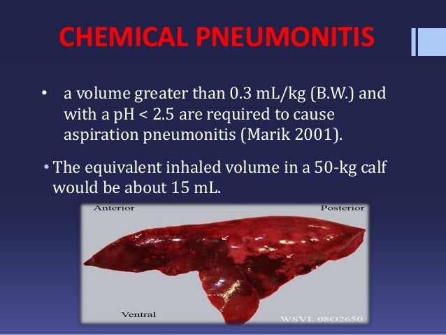 aspiration pneumonia in livestock predisposing factors