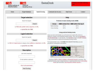 Docking studies | PPTX