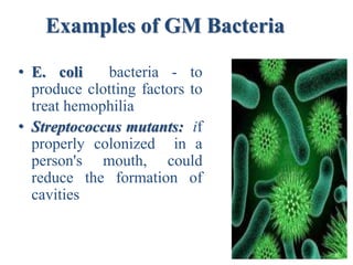 Examples of GM Bacteria
• E. coli bacteria - to
produce clotting factors to
treat hemophilia
• Streptococcus mutants: if
properly colonized in a
person's mouth, could
reduce the formation of
cavities
 