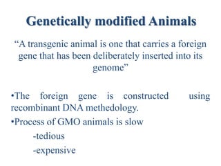 Genetically modified Animals
“A transgenic animal is one that carries a foreign
gene that has been deliberately inserted into its
genome”
•The foreign gene is constructed using
recombinant DNA methedology.
•Process of GMO animals is slow
-tedious
-expensive
 