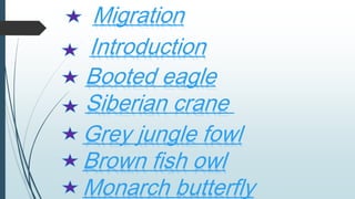 Migration
Introduction
Booted eagle
Siberian crane
Grey jungle fowl
Brown fish owl
Monarch butterfly
 