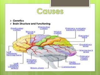  Genetics
 Brain Structure and Functioning
 