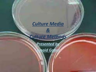 Culture Media
&
Culture Methods
Presented by
Junaid Gabol
 