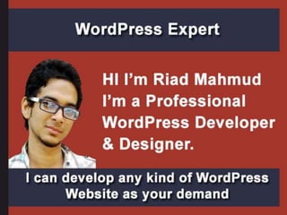 WordPress Expert